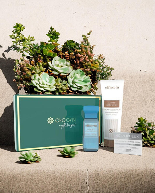 Wegotyou, Chogan Parfüm Geschenkbox,  Luxury, 129, Erba Pura - XERJOFF, xerjoff erba pura, Erba Pura, Unisexparfüm,  Luxuryparfüm, Luxury, Inspirierte Düfte, Parfüm, günstige Parfüms, Duftzwillinge, 